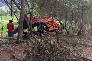 Nhốn nháo vì phát hiện cây gỗ sưa tiền tỷ ở thượng nguồn sông Ba Nhốn nháo vì phát hiện cây gỗ sưa tiền tỷ ở thượng nguồn sông Ba