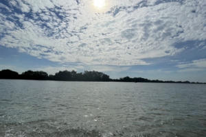 Một thoáng sông Đồng Nai êm đềm Một thoáng sông Đồng Nai êm đềm