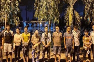 Triệt phá xới bạc di động trong vườn điều ở TP Biên Hòa