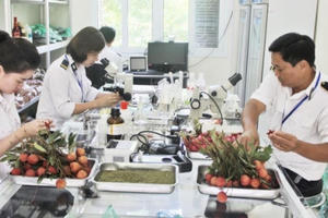 "Nhiễu sự" kiểm tra chuyên ngành