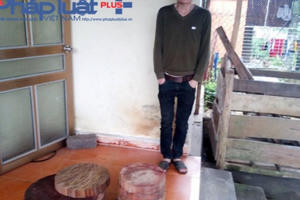 Hà Giang: Xử lý 163 vụ vi phạm về quản lý và bảo vệ lâm sản