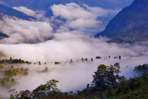 Nhiều trâu bò nghi bị thú dữ giết hại ăn thịt ở Hoà Bình Nhiều trâu bò nghi bị thú dữ giết hại ăn thịt ở Hoà Bình