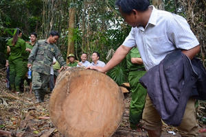 “Máu mình đổ xuống”