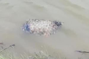 Lối thoát nào cho những người vợ trẻ bế tắc chuyện gia đình?