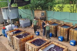 Đánh sập cơ sở nấu dầu lậu tại Bà Rịa - Vũng Tàu