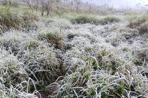 Băng giá xuất hiện tại nhiều bản làng miền Tây tỉnh Nghệ An