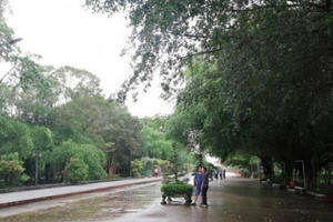 Gian lận, một công ty bị cấm đấu thầu 3 năm