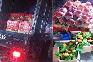 Lo ngại kỹ năng “khai sinh” tên mới cho hoa quả