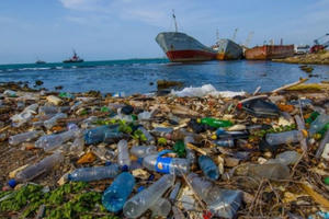 Cảnh báo các mối nguy với sinh vật biển Cảnh báo các mối nguy với sinh vật biển