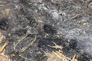 Đắk Lắk: Đốt rác bị trượt chân ngã xuống hố, cụ bà tử vong tại chỗ