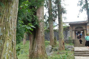 Chuyện quanh Dinh thự Vua Mèo: Tư duy nhiệm kỳ?