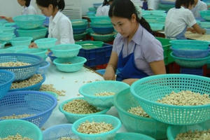 'Bẫy lừa' doanh nghiệp xuất khẩu