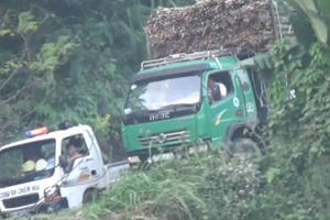 Tuyên Quang: CSGT huyện Chiêm Hóa kiểm tra giấy tờ "siêu tốc"