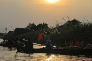 Nỗi buồn mùa cá bông lau