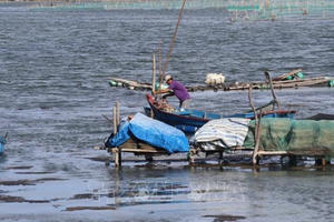 Phú Yên xử lý tình trạng lấn chiếm thắng cảnh quốc gia đầm Ô Loan