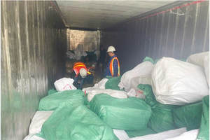 Thủ đoạn tinh vi trong vụ xuất khống 1.400 tấn chân gà đông lạnh, trốn thuế 7 tỷ đồng