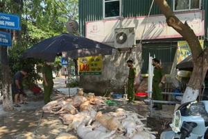 Phát hiện gần 1 tấn thịt lợn vứt trên sàn nhà, ruồi bâu đầy sắp được sơ chế để quay nướng