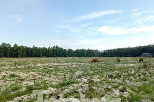 Đề xuất bỏ quy định cho phép tách thửa đất nông nghiệp ngăn dự án 'ma'