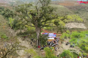 Nét đẹp văn hóa ngày xuân ở Tà Xi Láng