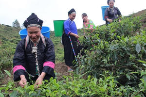 Hà Giang đầu tư hơn 100 tỷ đồng để ổn định dân cư vùng thiên tai