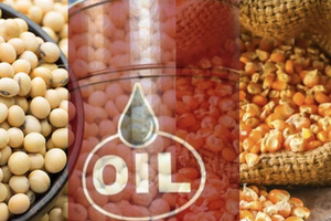 MXV-Index liên tục đảo chiều, giá hai mặt hàng dầu thô giảm nhẹ