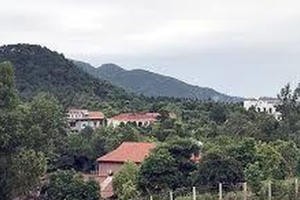 Thanh tra Hà Nội công bố kết luận sai phạm tại rừng Sóc Sơn