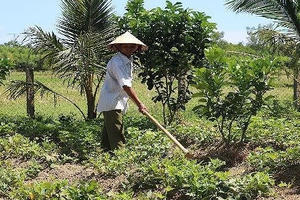 Bản Mường dưới chân núi Bạch Mã