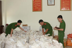 Nghệ An: Bắt giữ vụ vận chuyển hơn 4,5 tấn lâm sản trái phép