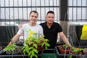 Liều bỏ 400 triệu chơi lan, đôi bạn thân Hà Nội có gia tài chục tỷ
