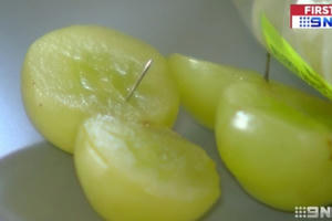 Australia tiếp tục phát hiện kim nhọn xuất hiện trong quả nho