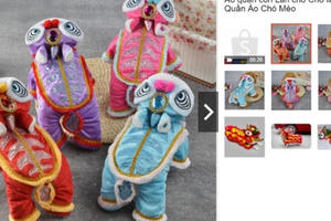 Chủ nhân rút hầu bao, vung tiền triệu sắm quần áo trung thu tặng chó mèo