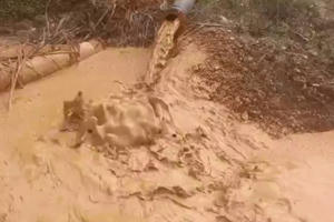 Nghệ An: Xả thải trái phép, 2 công ty bị phạt 420 triệu đồng