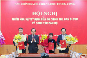 Bổ nhiệm 3 Phó Ban Chính sách, chiến lược Trung ương