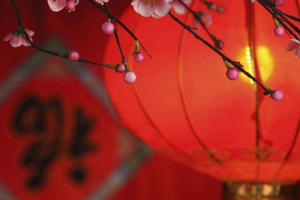 Tết Nguyên Đán 2020: Những dự báo cho năm Canh Tý