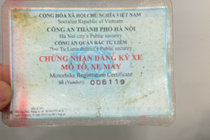 Xin cấp lại chứng nhận đăng ký, biển số xe từ ngày 1/1/2025 bao gồm những hồ sơ gì?