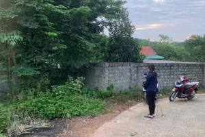 Nghệ An: Phát hiện thi thể nguyên Chủ tịch UBND huyện trong bụi cây