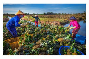 Thúc đẩy hoạt động đổi mới sáng tạo