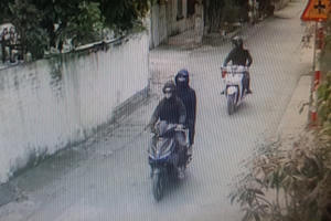 Công an Hải Phòng điều tra vụ phóng viên báo Tuổi trẻ bị tạt tiết lợn vào nhà riêng