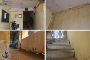 Thực hiện Luật Nhà ở năm 2023 và Nghị định 98/2024/NĐ-CP về cải tạo, xây dựng lại nhà chung cư