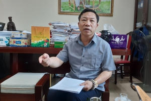 Vụ cô giáo bị tuyên phạt 5 năm tù: Phó ban dân nguyện Quốc hội lên tiếng