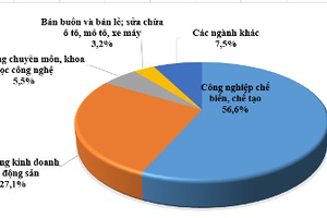 Dòng vốn đầu tư nước ngoài vào Việt Nam tăng trưởng tích cực