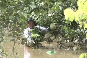 Cảnh báo lũ lụt khẩn cấp trên các con sông ở khu vực tỉnh Đồng Nai Cảnh báo lũ lụt khẩn cấp trên các con sông ở khu vực tỉnh Đồng Nai