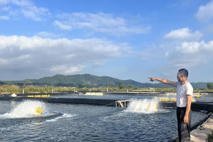 Quảng Ninh: Tiền tỷ trôi ra biển vì quên đóng cửa cống