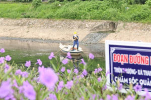 Hà Nội: Sắc tím hoa dạ yến thảo phủ khắp bờ sông Tô Lịch