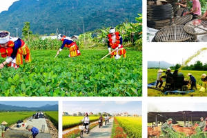 Thúc đẩy tiến độ giải ngân vốn thực hiện các chương trình mục tiêu quốc gia