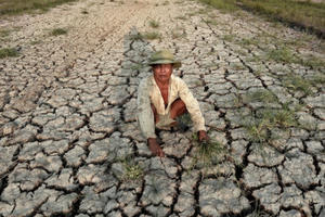 Cơ chế hỗ trợ phòng, chống khắc phục hậu quả hạn mặn