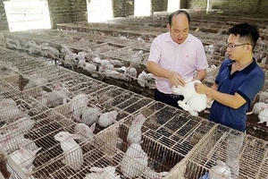 Quyết sách mang tính đột phá