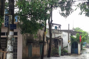 Không thể tin nổi: Con ngõ "không điện, không nước, không người quản lý" giữa lòng thành phố Nam Định