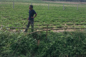 Quảng Bình: Nghi vấn Công ty Hùng Nam ký hợp đồng “giả trong thật” hơn 10 tỷ để “nâng khống” năng lực Quảng Bình: Nghi vấn Công ty Hùng Nam ký hợp đồng “giả trong thật” hơn 10 tỷ để “nâng khống” năng lực