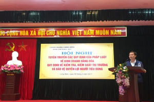 BCĐ 389 Long Biên: Xử lý các vi phạm trên địa bàn thu nộp 77,3 tỷ đồng trong năm 2016